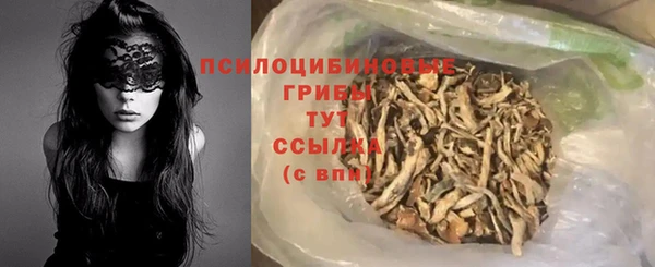 тгк Козельск