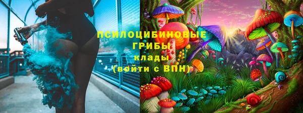 тгк Козельск